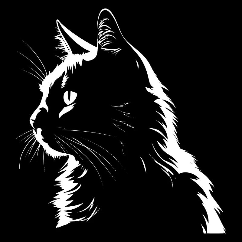 Chat, Motif De Chat