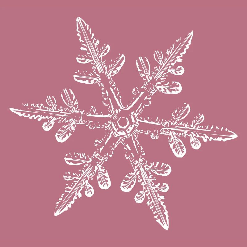 snowflake 8 white