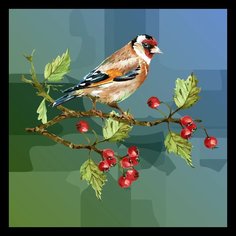 Oiseau coloré