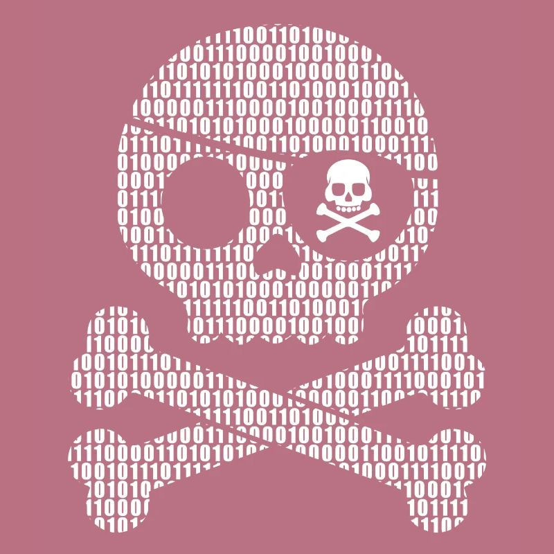 Digital Pirate Binary Code | Digital skull