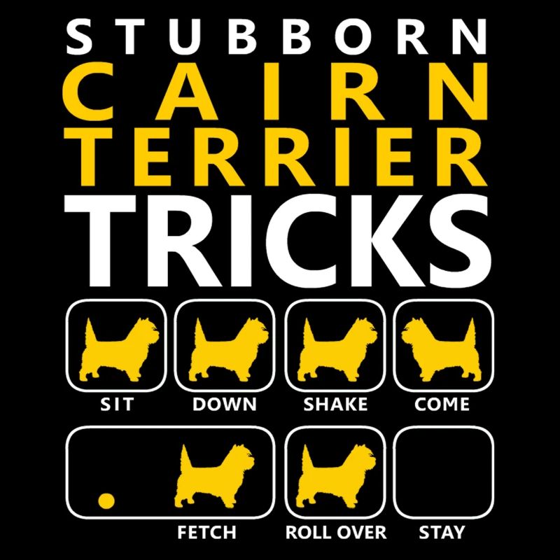 Hartnäckige Steinhaufen-Terrier-Tricks