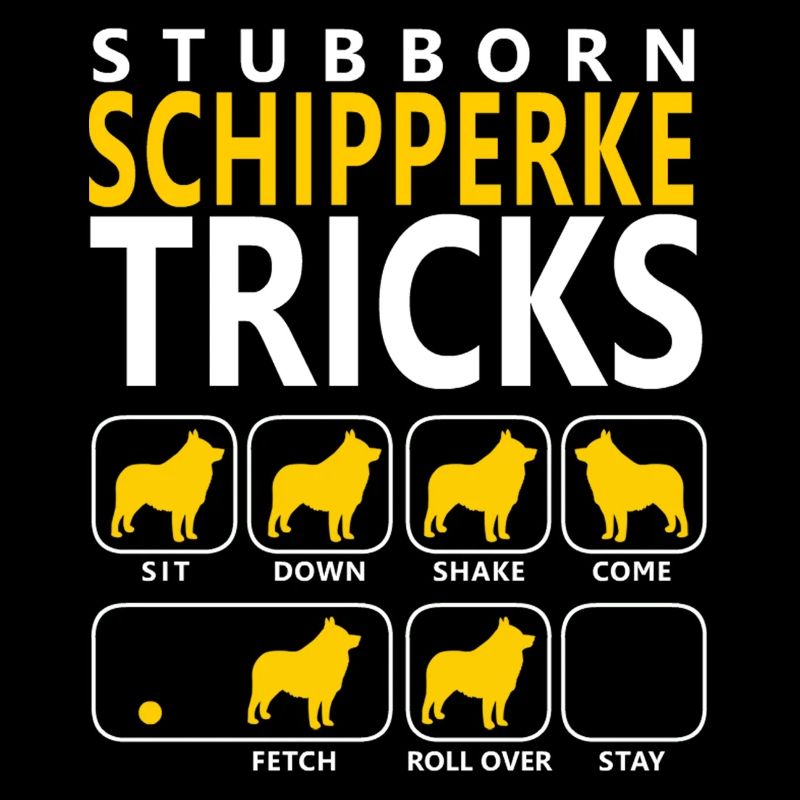 Hartnäckige Schipperke-Tricks