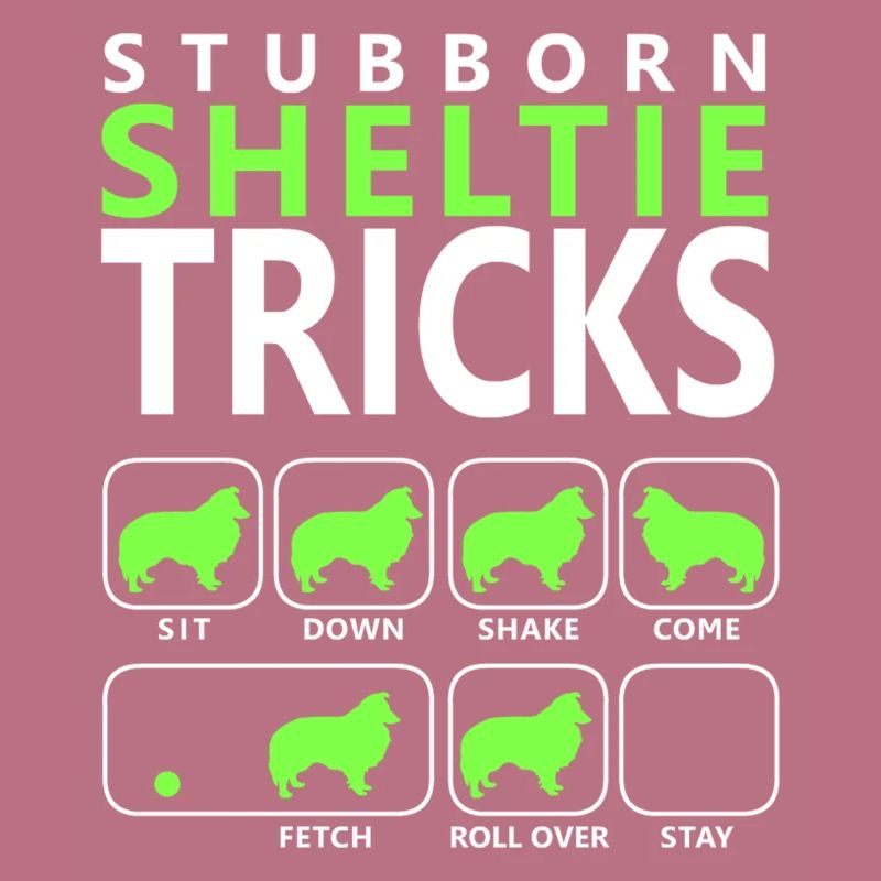 Hartnäckige Sheltie-Tricks