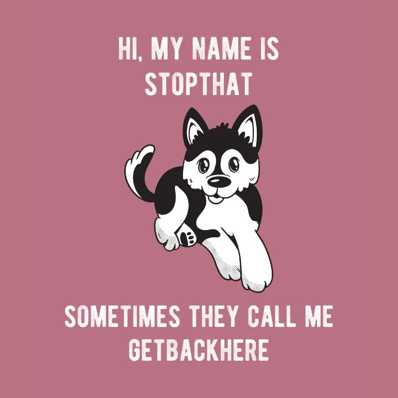 Mon nom est Stopthat Getbackhere Pomsky Hyper Dog