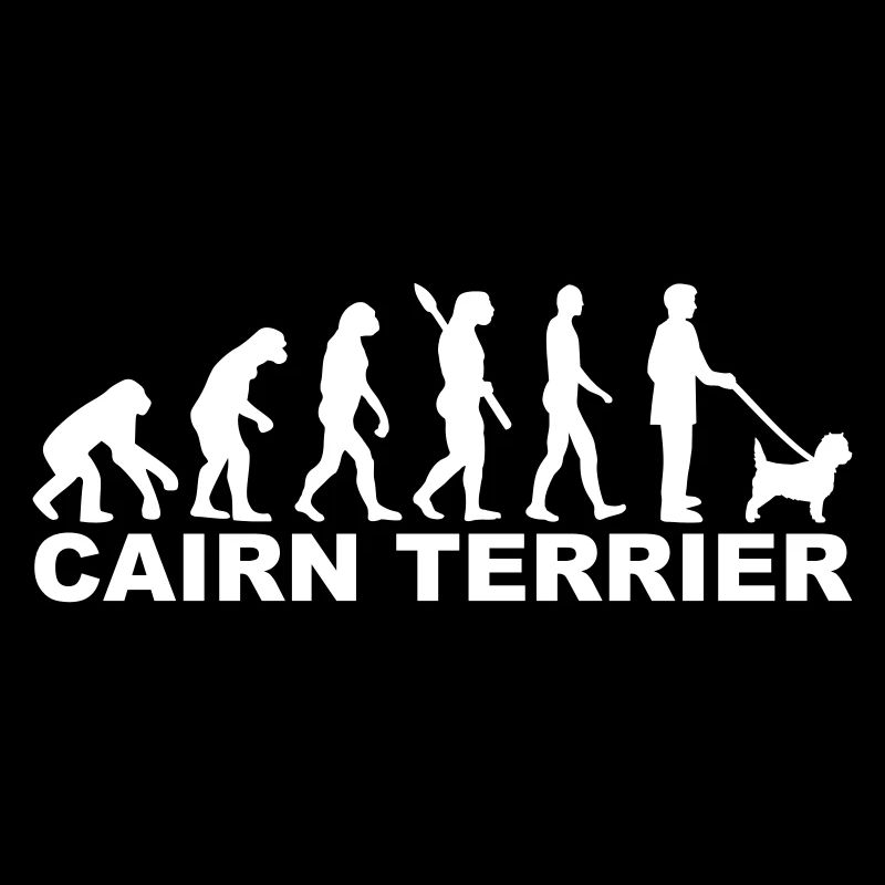 Cairn Terrier