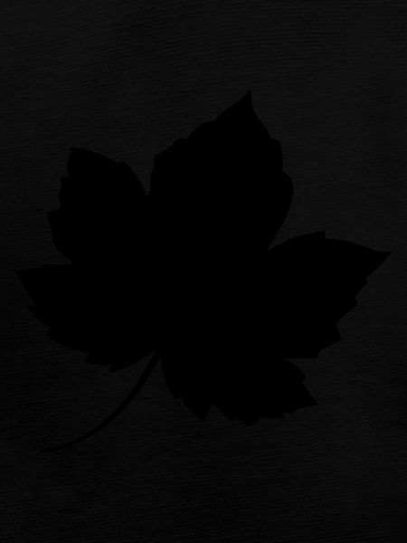 leaf