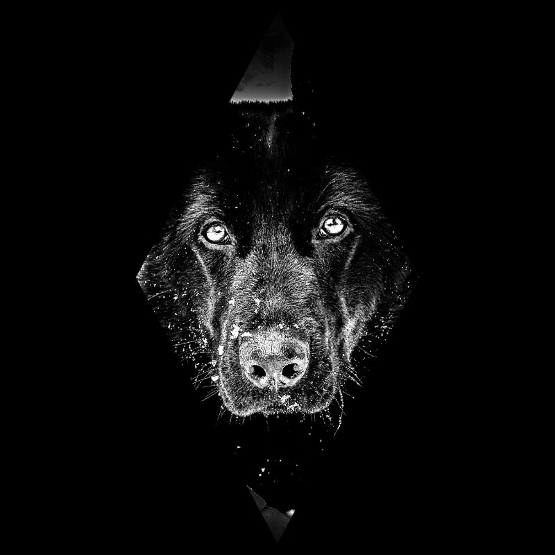 Schäferhund