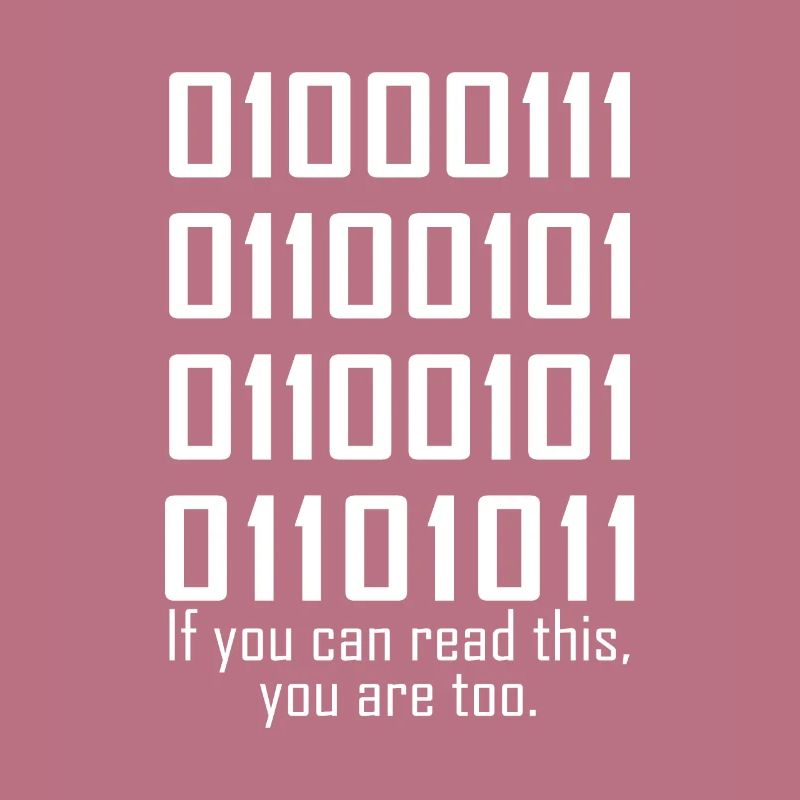 Software Engineers Funny Programming Coding Binary