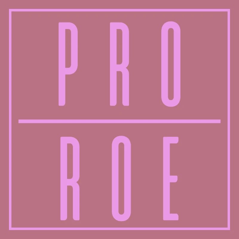 Womens Rights Roe v Wade Reproductive Rights 1973
