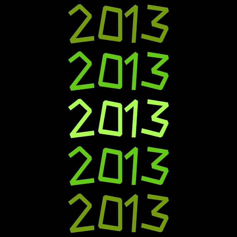 2013 2013
