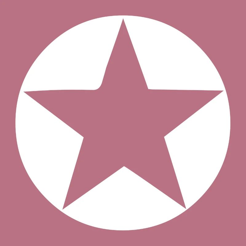 Circle star shape icon