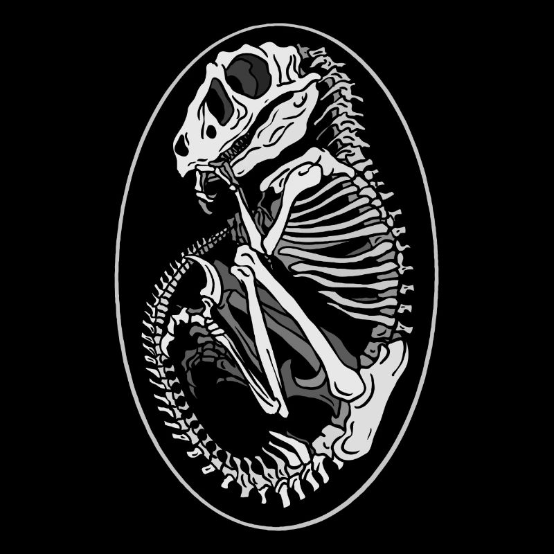 Dino Egg Skeleton