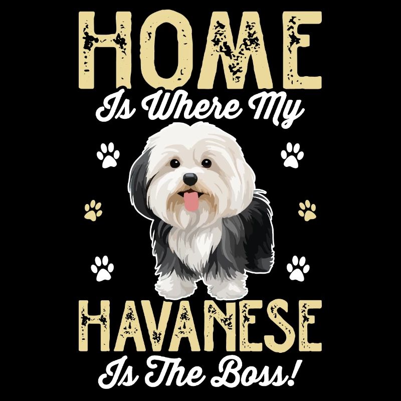 La maison, c’est là où mon bichon havanais est le chef