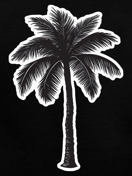 Palm tree