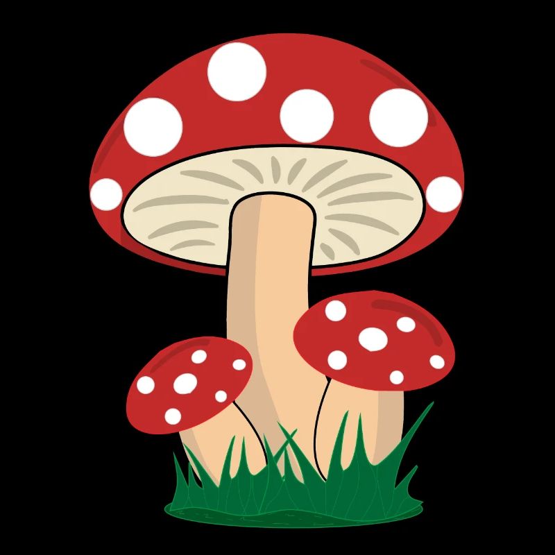 Mushrooms toadstools boletus forest mushroom picking