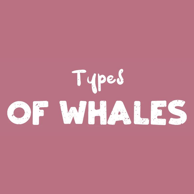 Types de baleines - Pêche