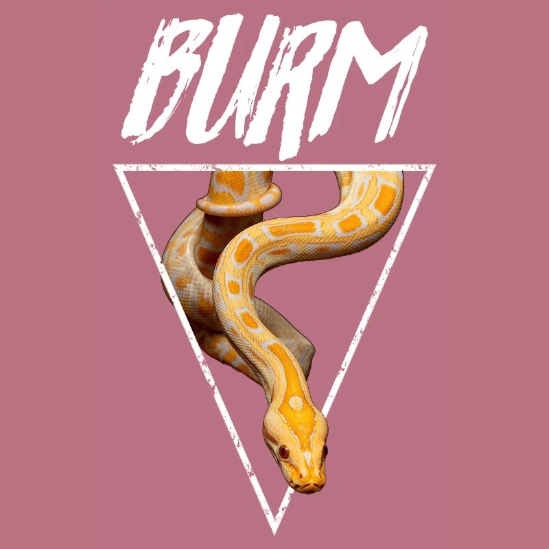 Albino Birmese Python Snake Owner