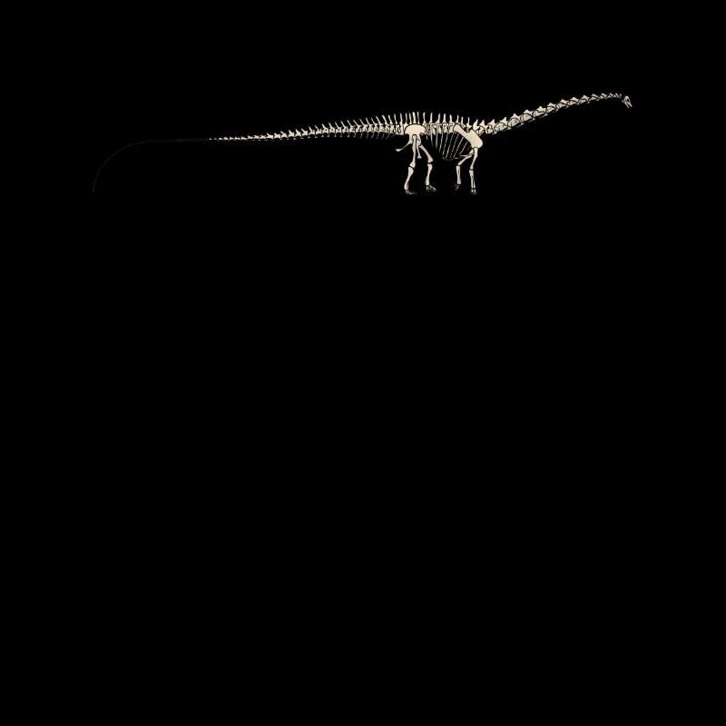 Dinosaur diplodocus fossil skeleton