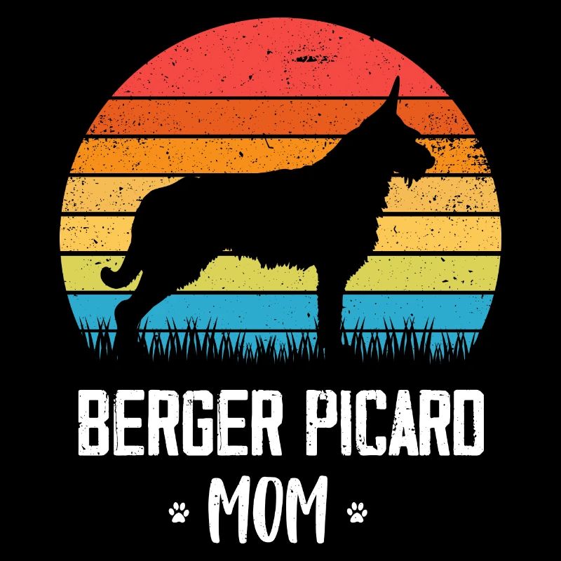 Berger de Picardie - Berger Picard