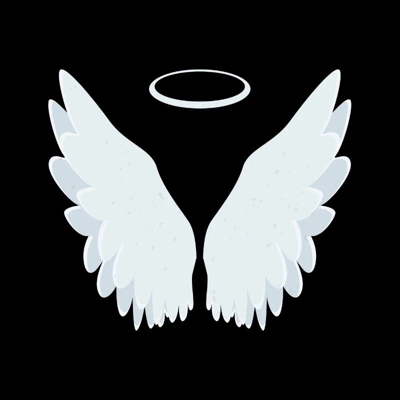 Ailes d'ange