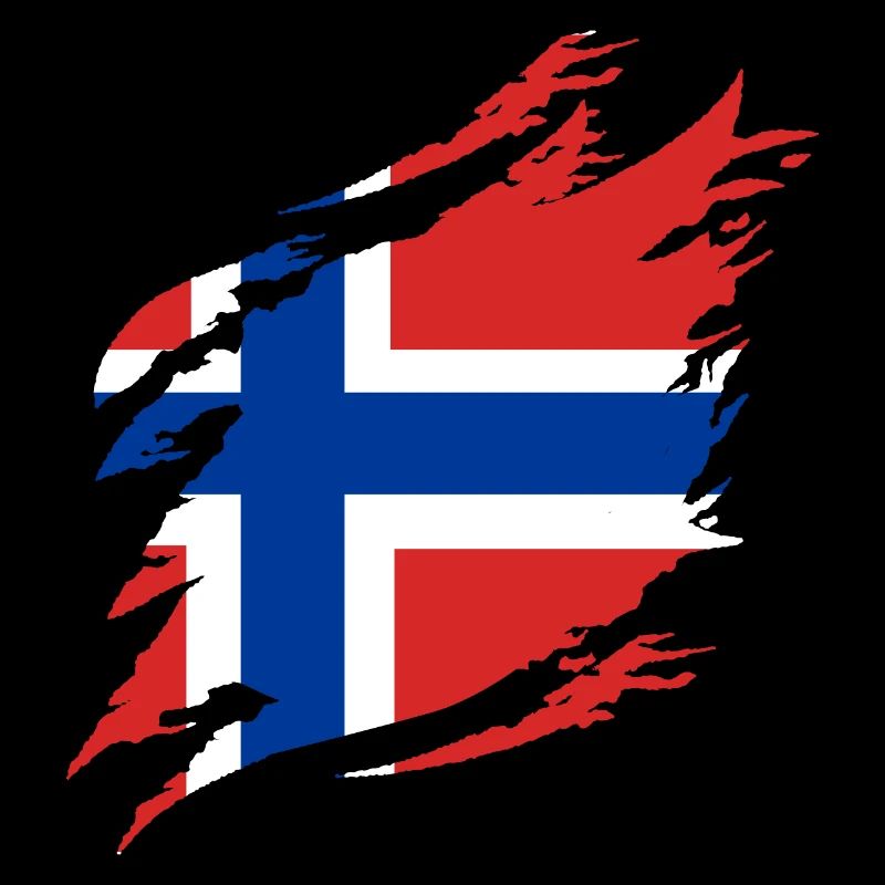 Norvège Drapeau Scandinavie Drapeau norvégien
