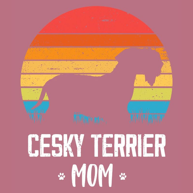 Cesky Terrier Dog - Cesky Terrier