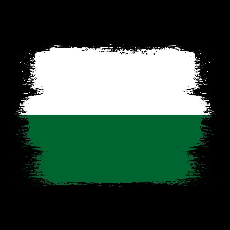Drapeau de Saxe Drapeau saxon Ossi Holiday SN