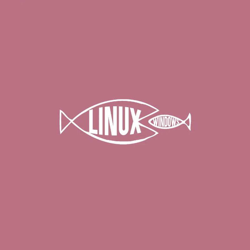 Programmation cadeau informatique · Windows Linux