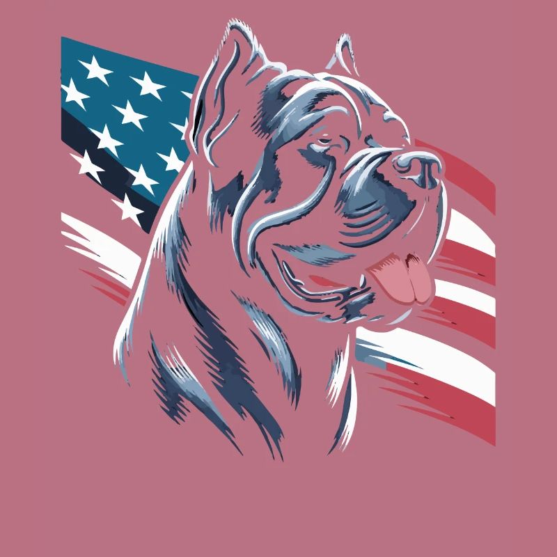 Cane Corso Hund