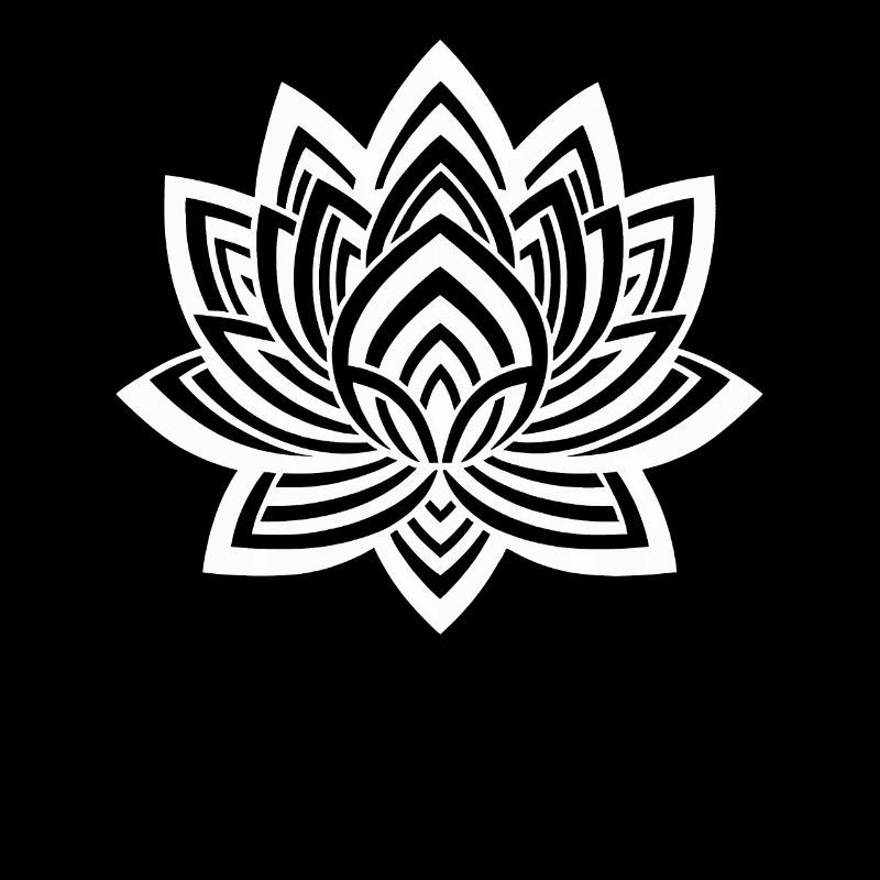 Lotus Fleur de lotus Fleur de lotus