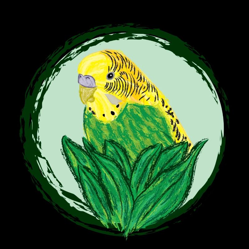 Perruche jaune / Yellow Budgie VI