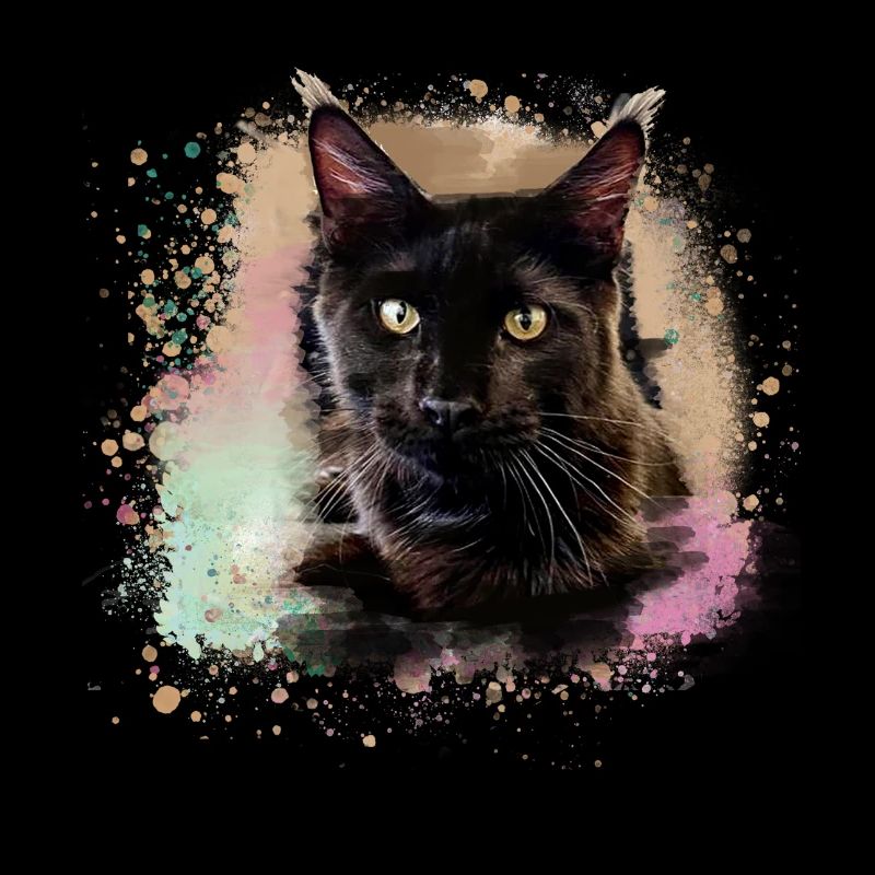maincoon,katze,graffiti,malerei, Maine-Coon-Katze