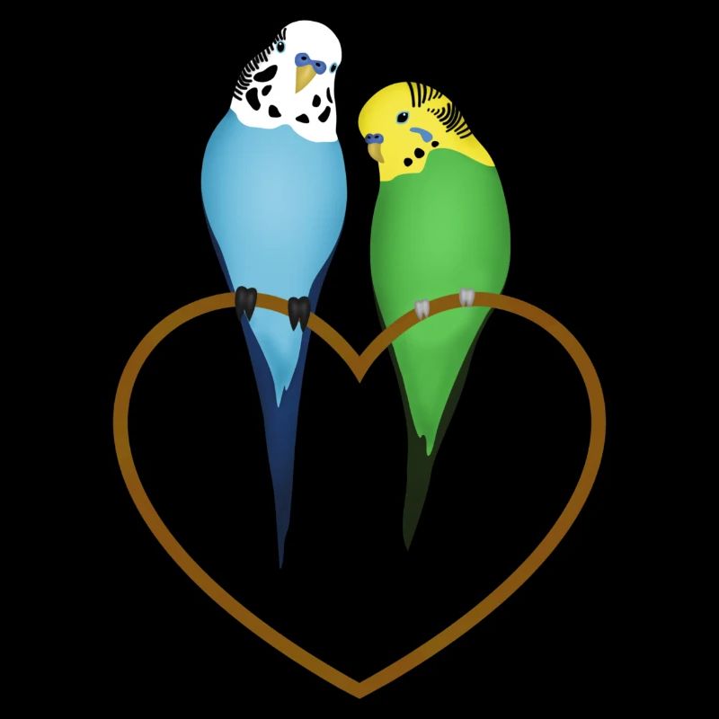 Budgerigar Paire Coeur