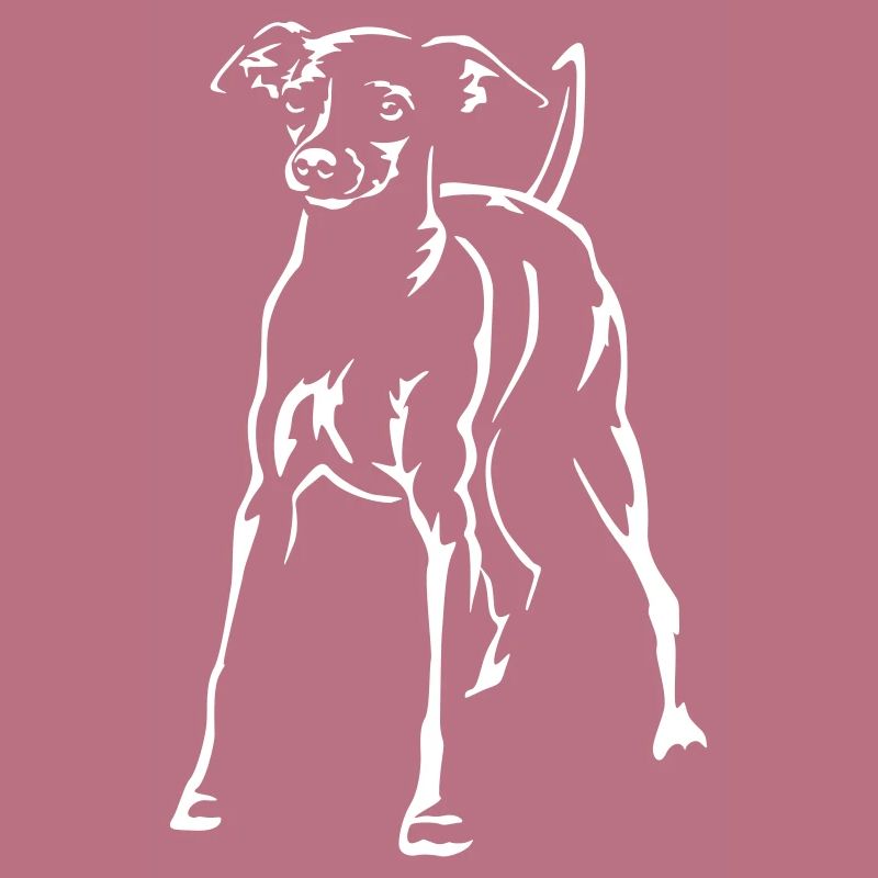 Dwarf Pinscher "Black Edition"