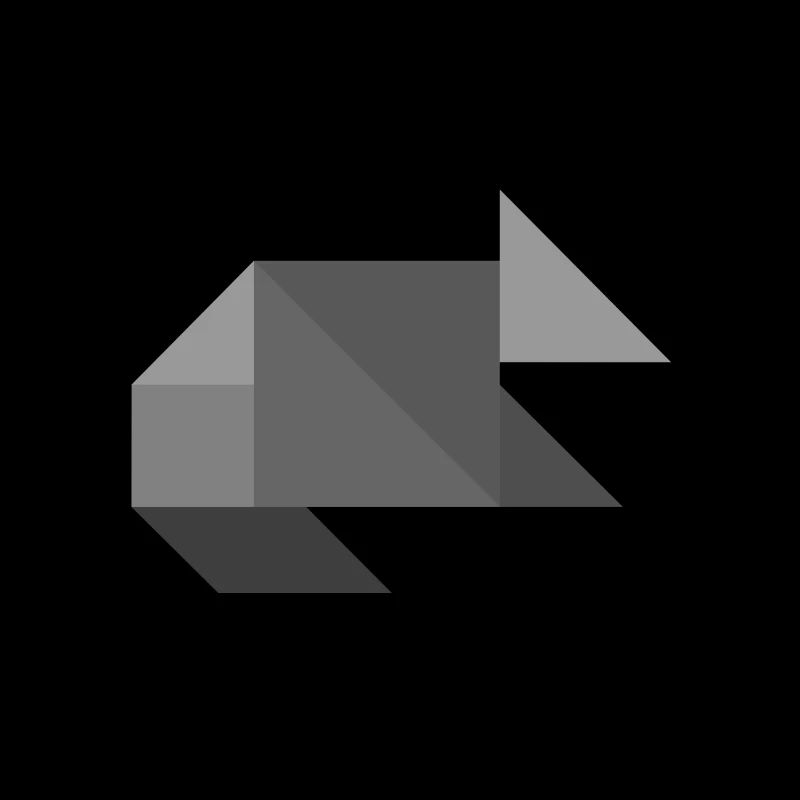 Raton laveur - Tangram