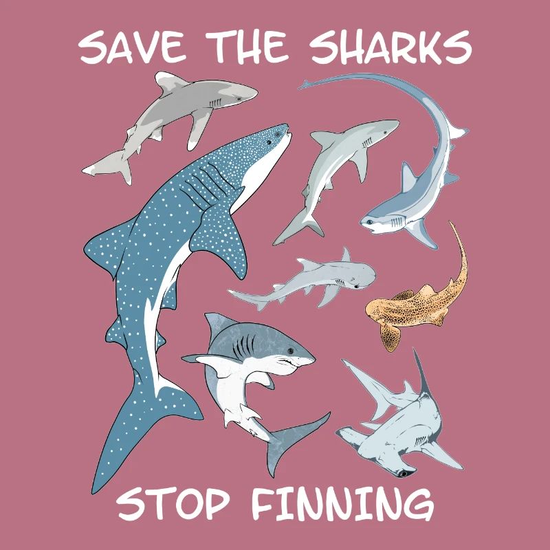 Types de requins Espèces de requins