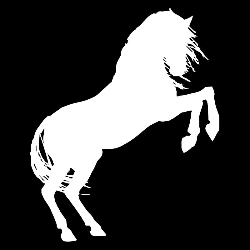 Cheval chevaux cheval amour poney cavalier cavalier