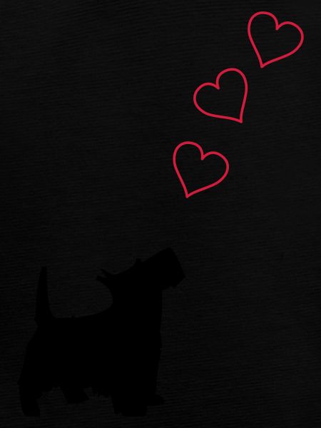 little dog