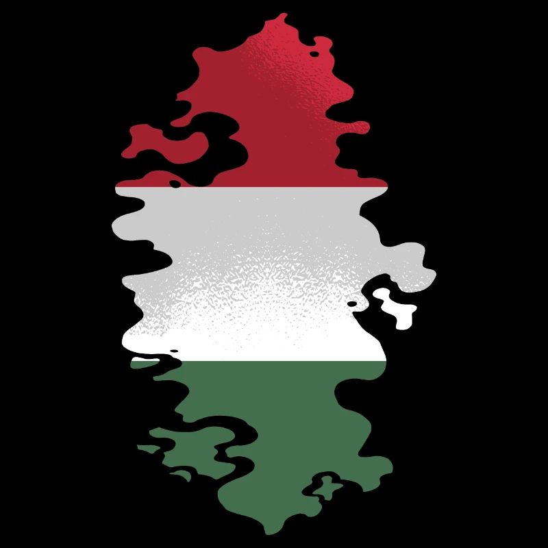 Hongrie Drapeau Hongrois Drapeau Balaton Hongrie