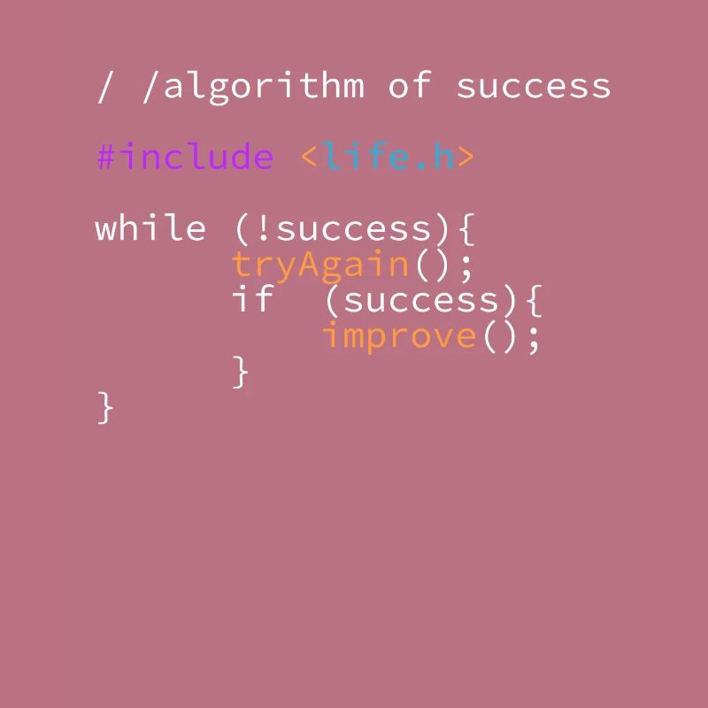 Program Code Algorithm of Success IT Developers