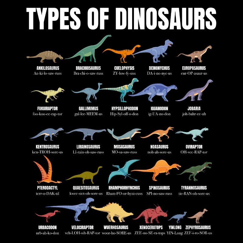 Types Of Dinosaurs Dino Identification - Cute
