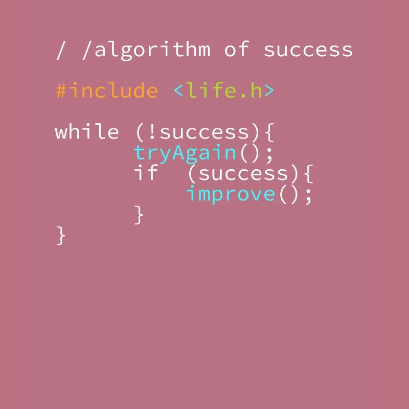 Entwickler Programmierer Erfolgs Code Coder
