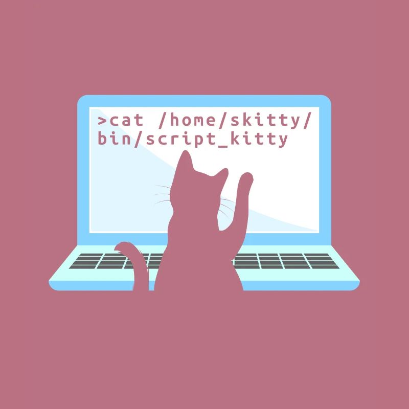Chat comme codeur codeur propriétaire de chat