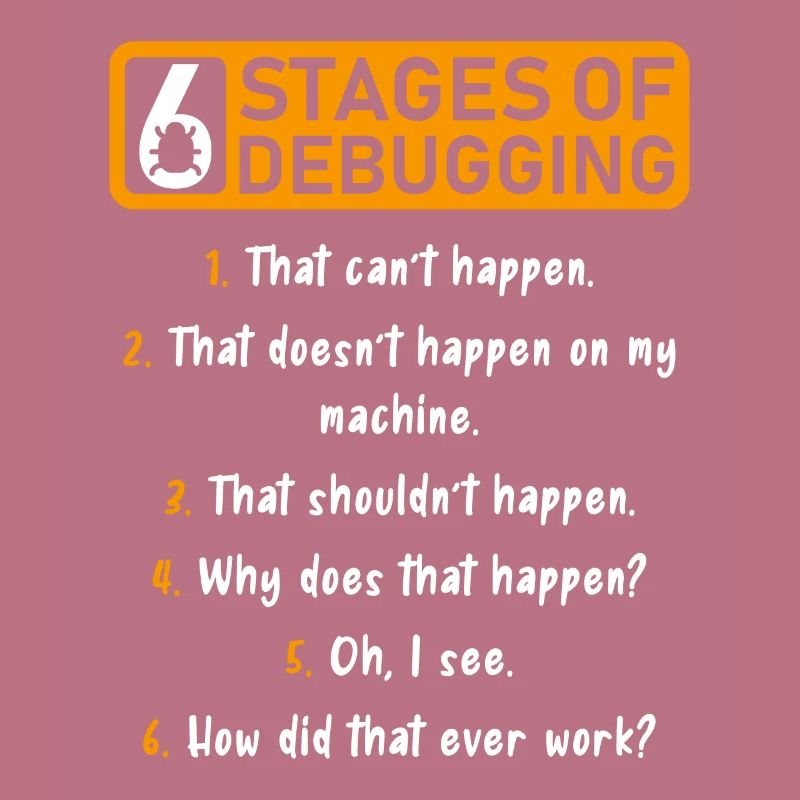 6 Stufen des Debugging Software Entwickler