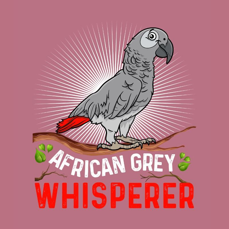 African Grey Whisperer Graupapagei Flüsterer
