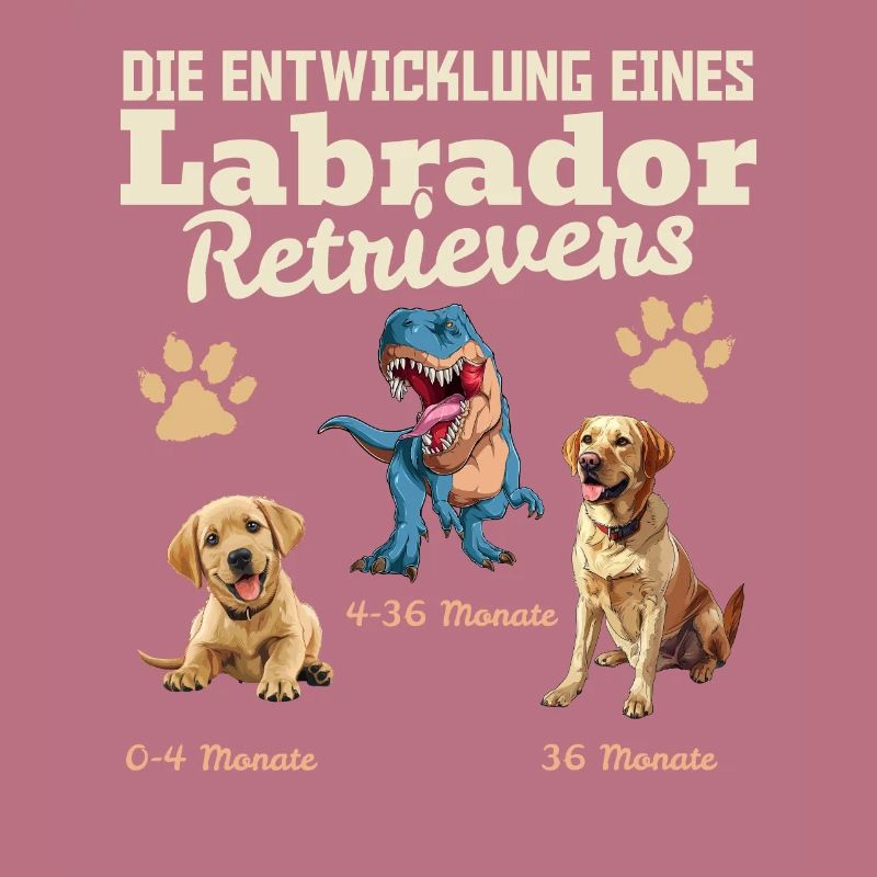 Hundebesitzer DIE EVOLUTION EINES LABRADOR