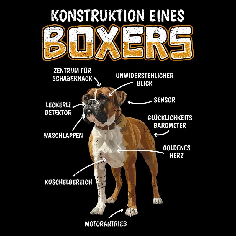 Deutscher Boxer ANATOMIE EINES BOXERS Lustiges