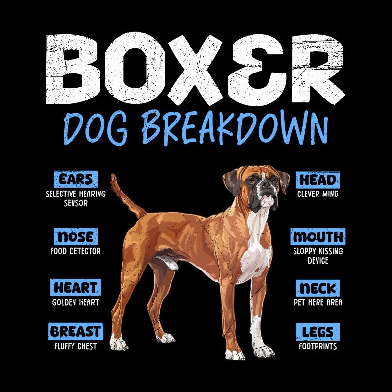 BOXER DOG BREAKDOWN German Boxer Funny