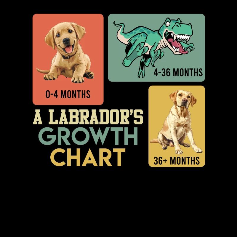 Labrador Lover Labrador COURBE DE CROISSANCE