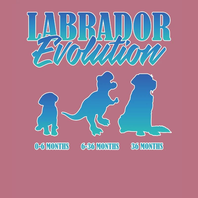 LABRADOR EVOLUTION Labrador Owner Funny